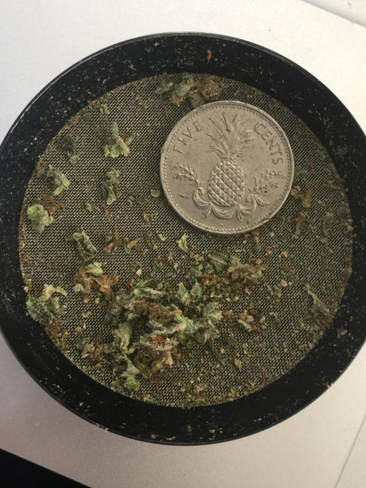 grinder coin sitting in a herb grinder with ground bud