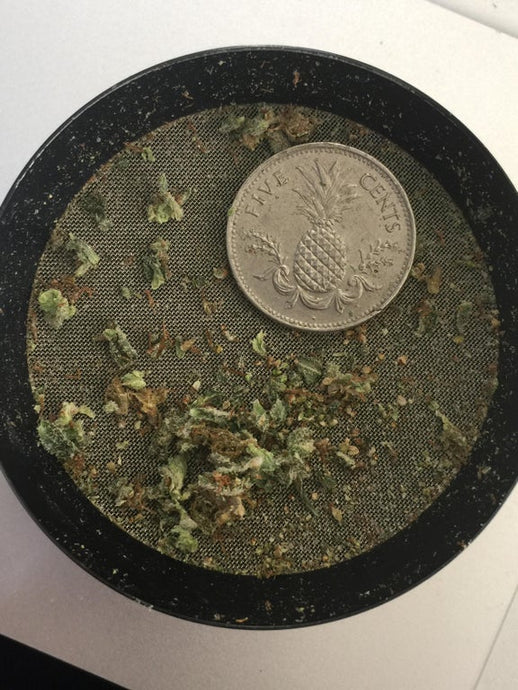Grinder Coins for Maximum Kief Collection